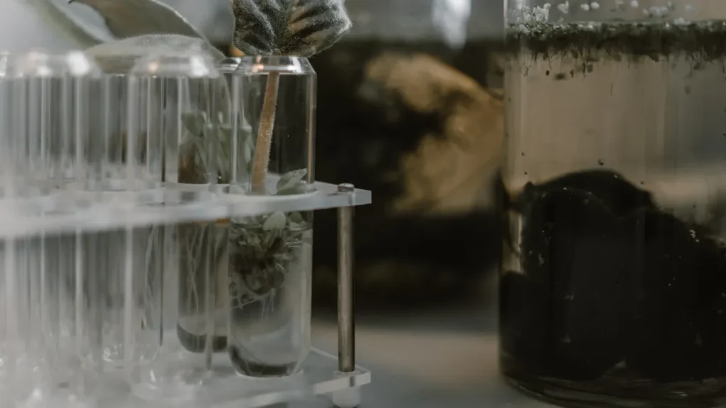 test tubes and jars of soil samples